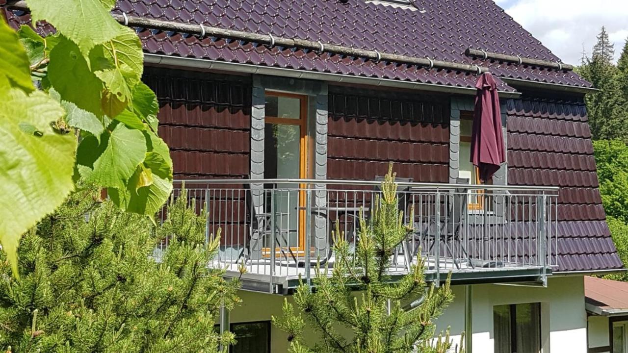 Ferienwohnung Altenbrak Haus Wilde ثال المظهر الخارجي الصورة